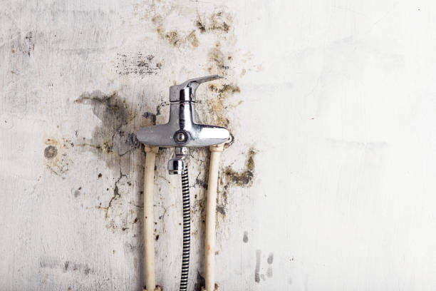 Best Water Damage Restoration  in Hammond, WI